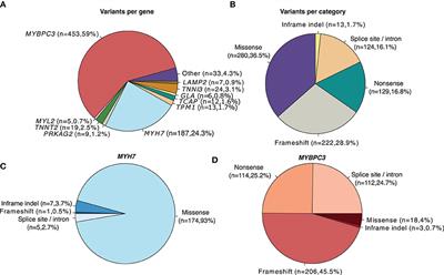 Clinical significance of genetic variation in hypertrophic cardiomyopathy: comparison of computational tools to prioritize missense variants